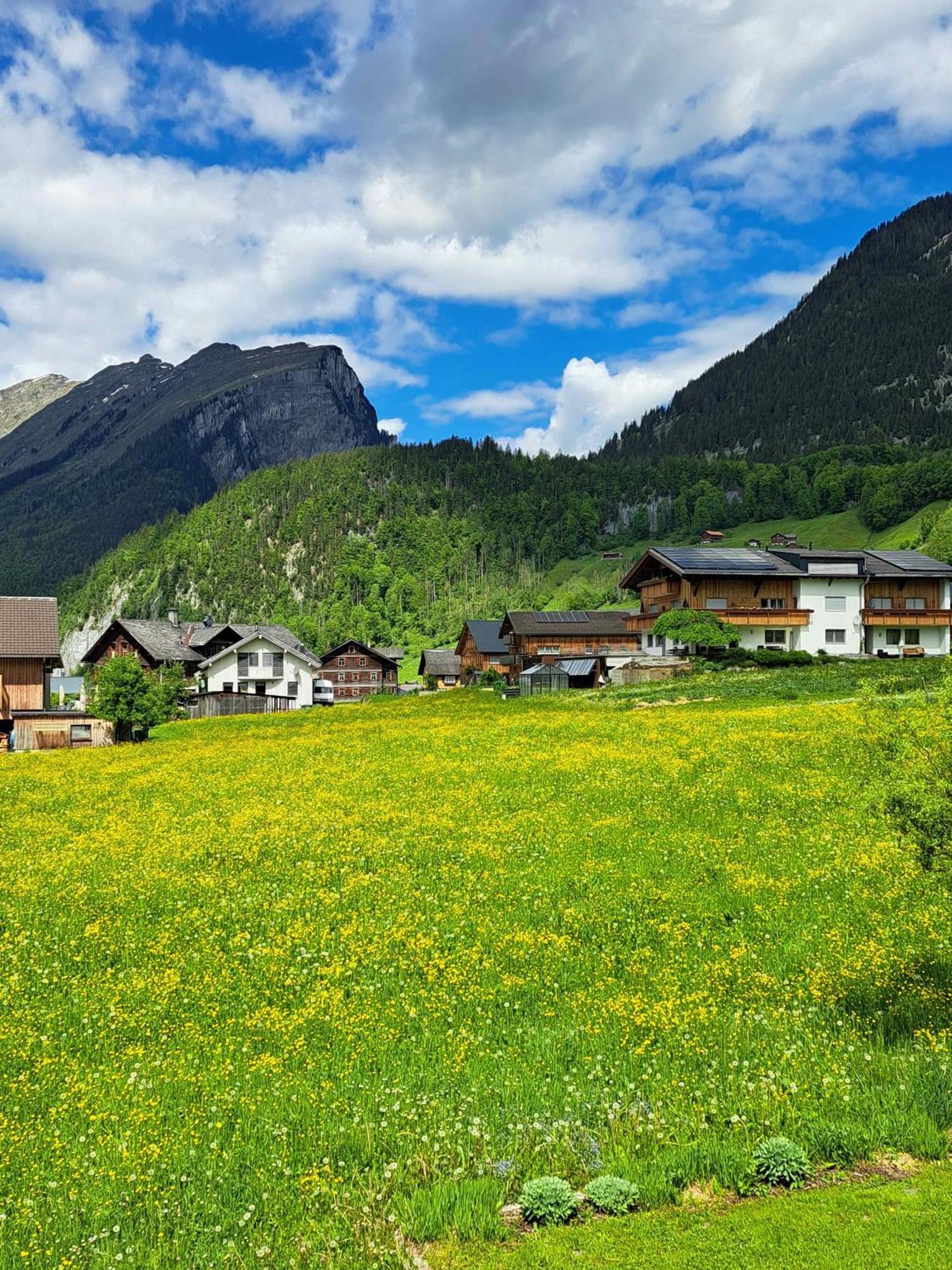 Familienfreundliches Bregenzerwaelderhaus Villa Au (Vorarlberg) Exterior photo