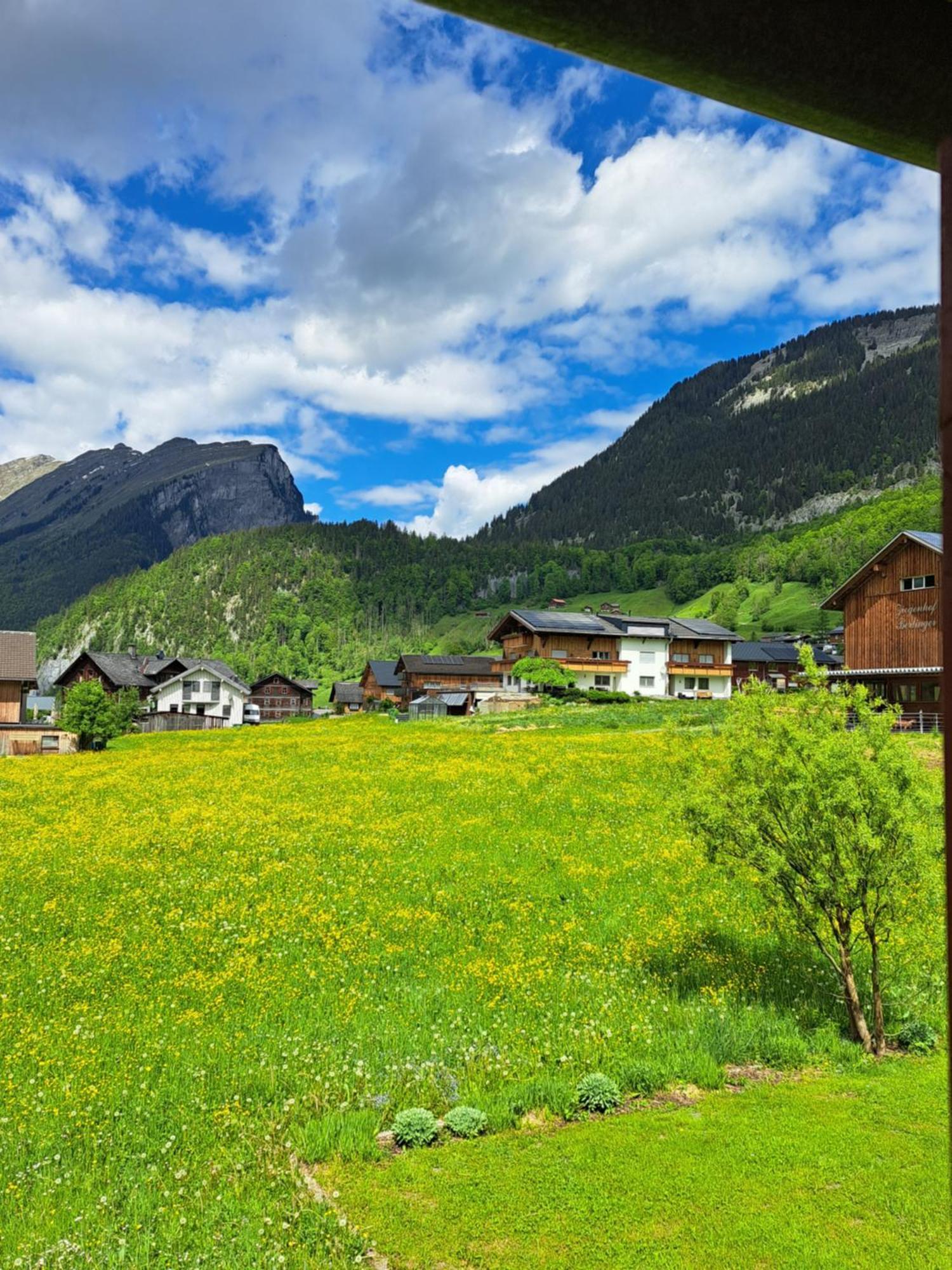 Familienfreundliches Bregenzerwaelderhaus Villa Au (Vorarlberg) Exterior photo